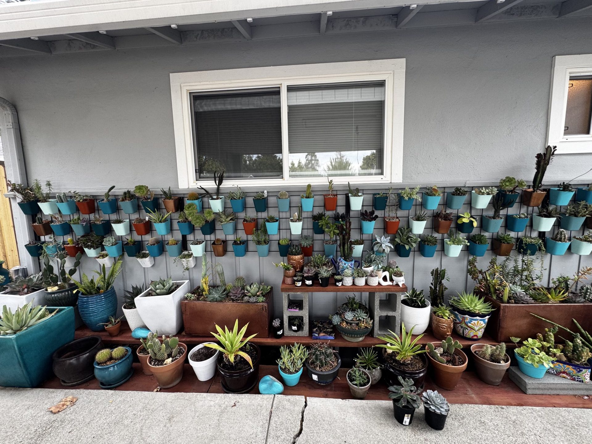 A gray house wall covered in three rows of hanging cups painted in teal, mint, cinnamon, and copper, each holding a succulent or cactus, with potted plants on a wooden bench below.